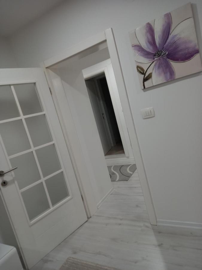 Aine Apartman - Old Bridge Mostar Esterno foto